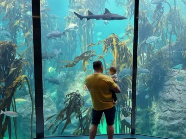 A Perfectly Timed Saturday in Cape Town: When Local Life Feels Like Tourism&nbsp;Magic